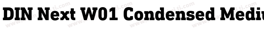 DIN Next W01 Condensed Medium字体转换